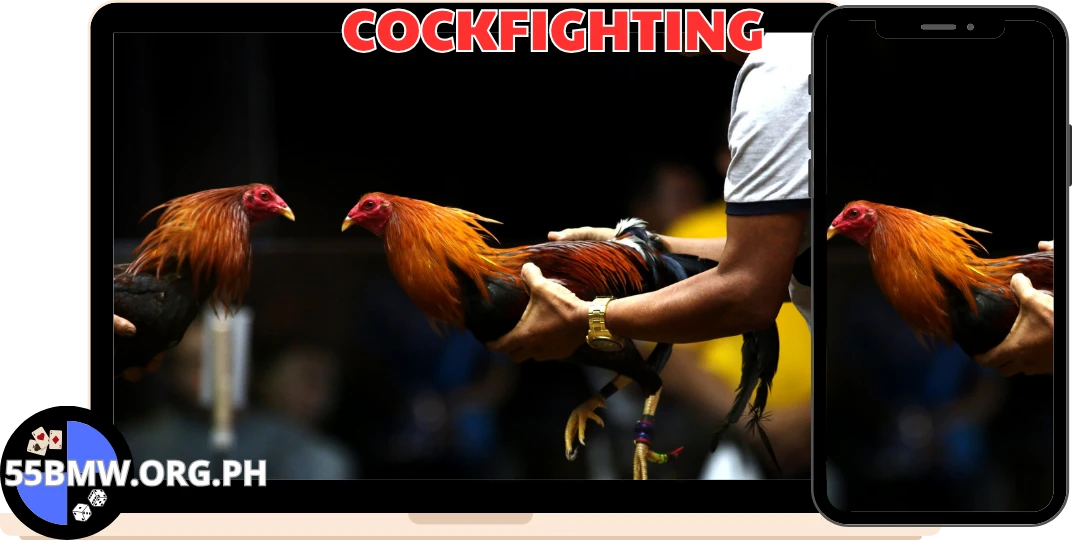 COCKFIGHTING
